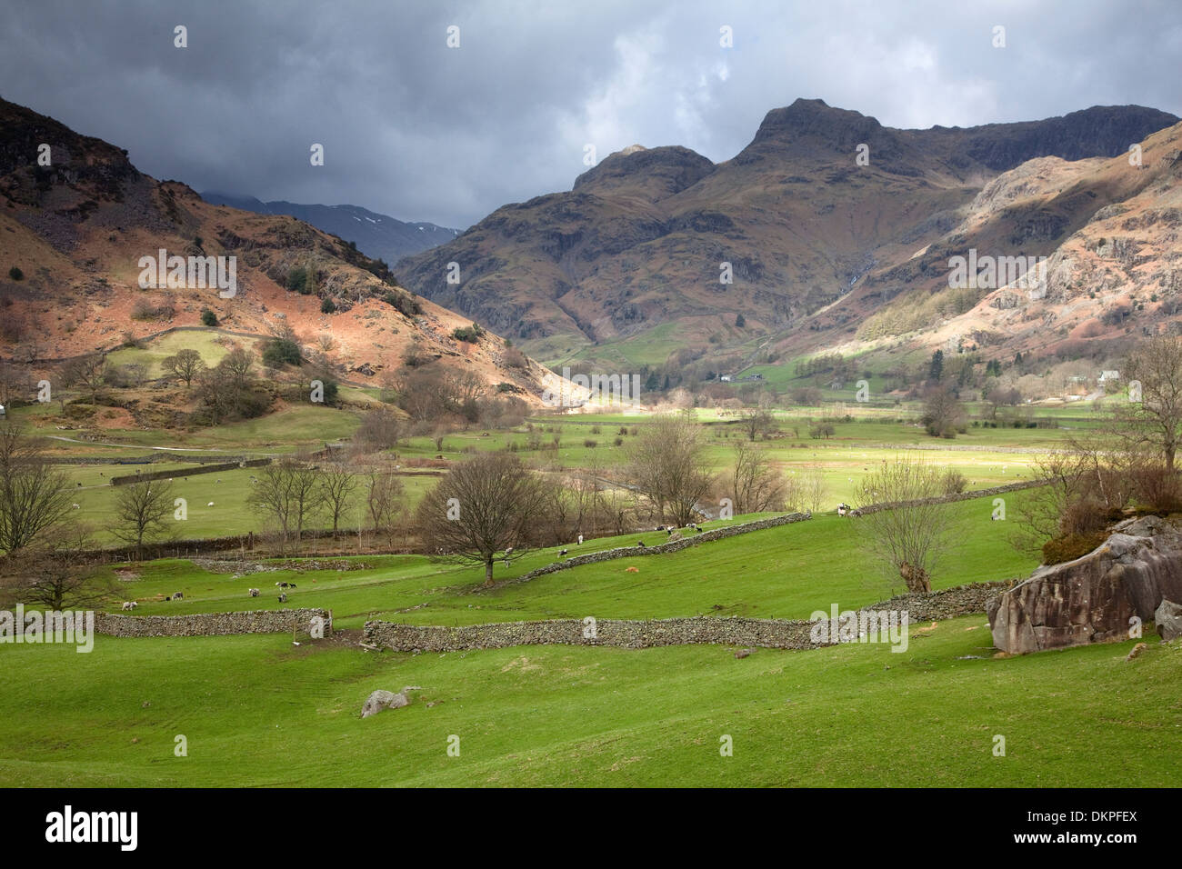 Small Rocky Ridge Rural Photo Reference Agriculture caiaalamy hi-res stock photography and images - Alamy