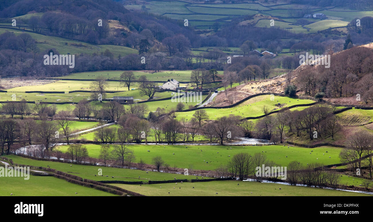 Trees and pastures in rural landscape Stock Photo - Alamy