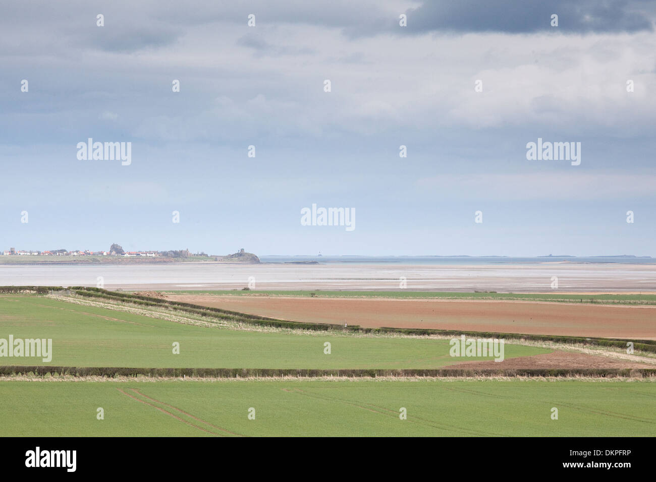Rural pastures with ocean in background Stock Photo