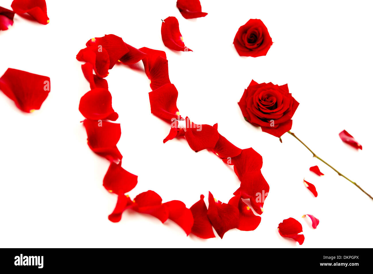 Red rose petals in a heart shape and roses isolated on a white ...