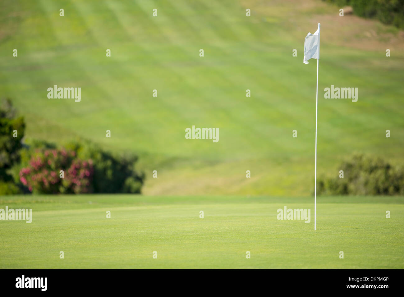 Flag in hole on golf course Stock Photo Alamy