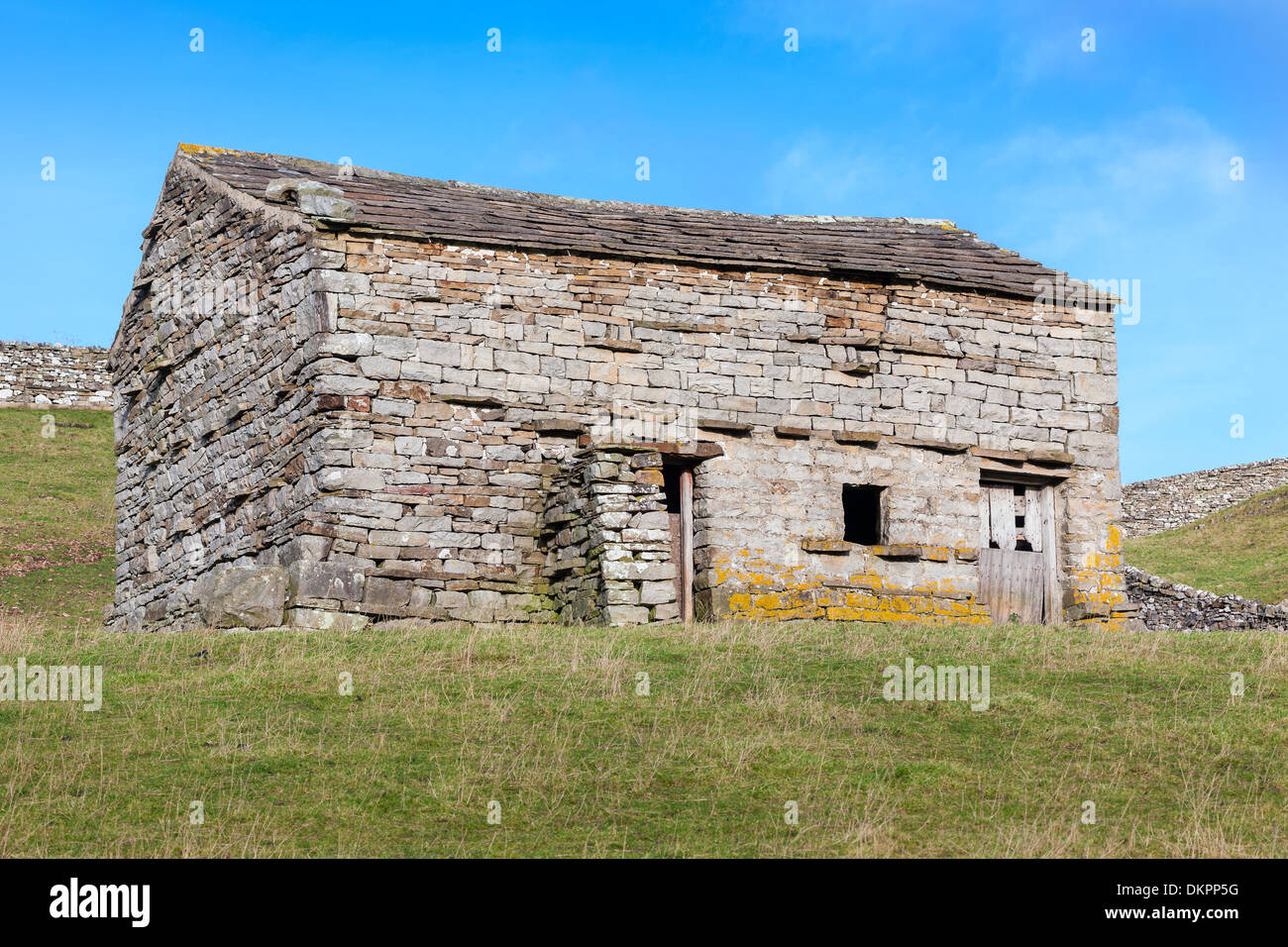 A traditional stone barn in a field in the Yorkshire Dales, England Stock Photo