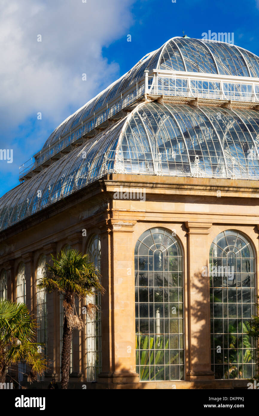 Greenhouse in the Royal Botanic Gardens, Inverlieth Row, Edinburgh, Scotland Stock Photo