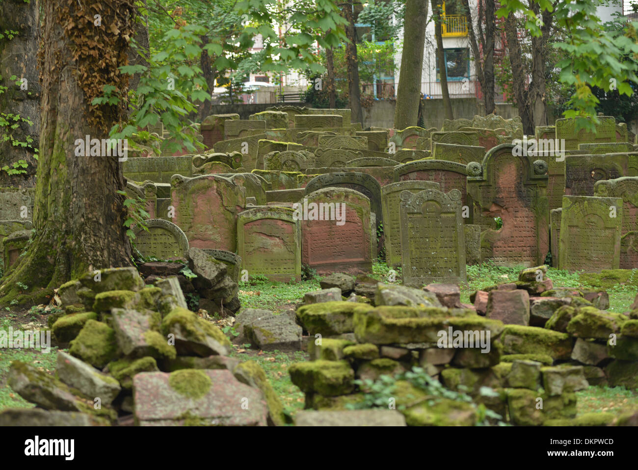 Juedischer Friedhof, Battonnstrasse, Frankfurt am Main, Hessen, Deutschland / Jüdischer, Battonnstraße Stock Photo