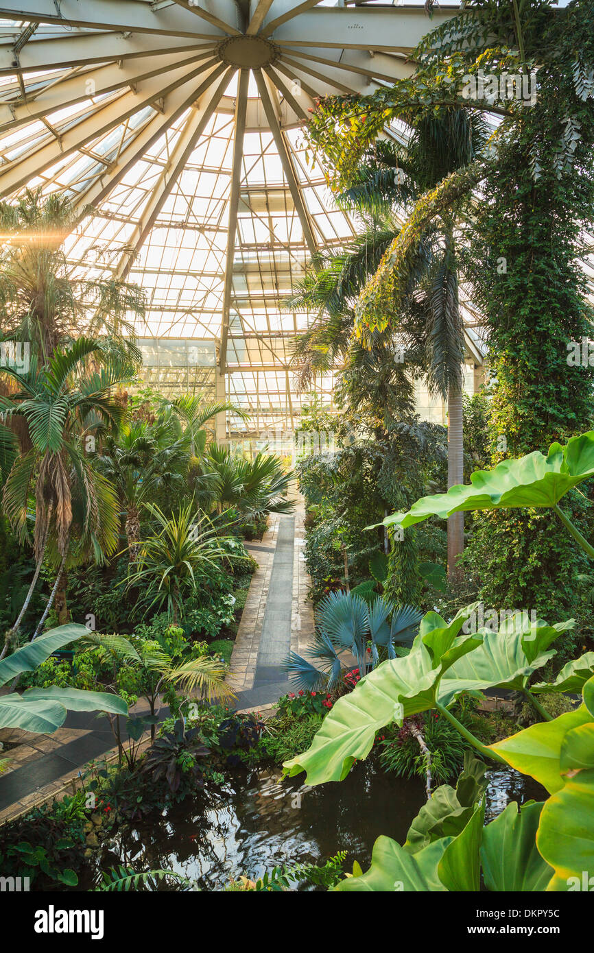 France, Alpes Maritimes, Nice, Phoenix Park, the greenhouse also called the Green Diamond 7.000m2 and 25 meters high Stock Photo