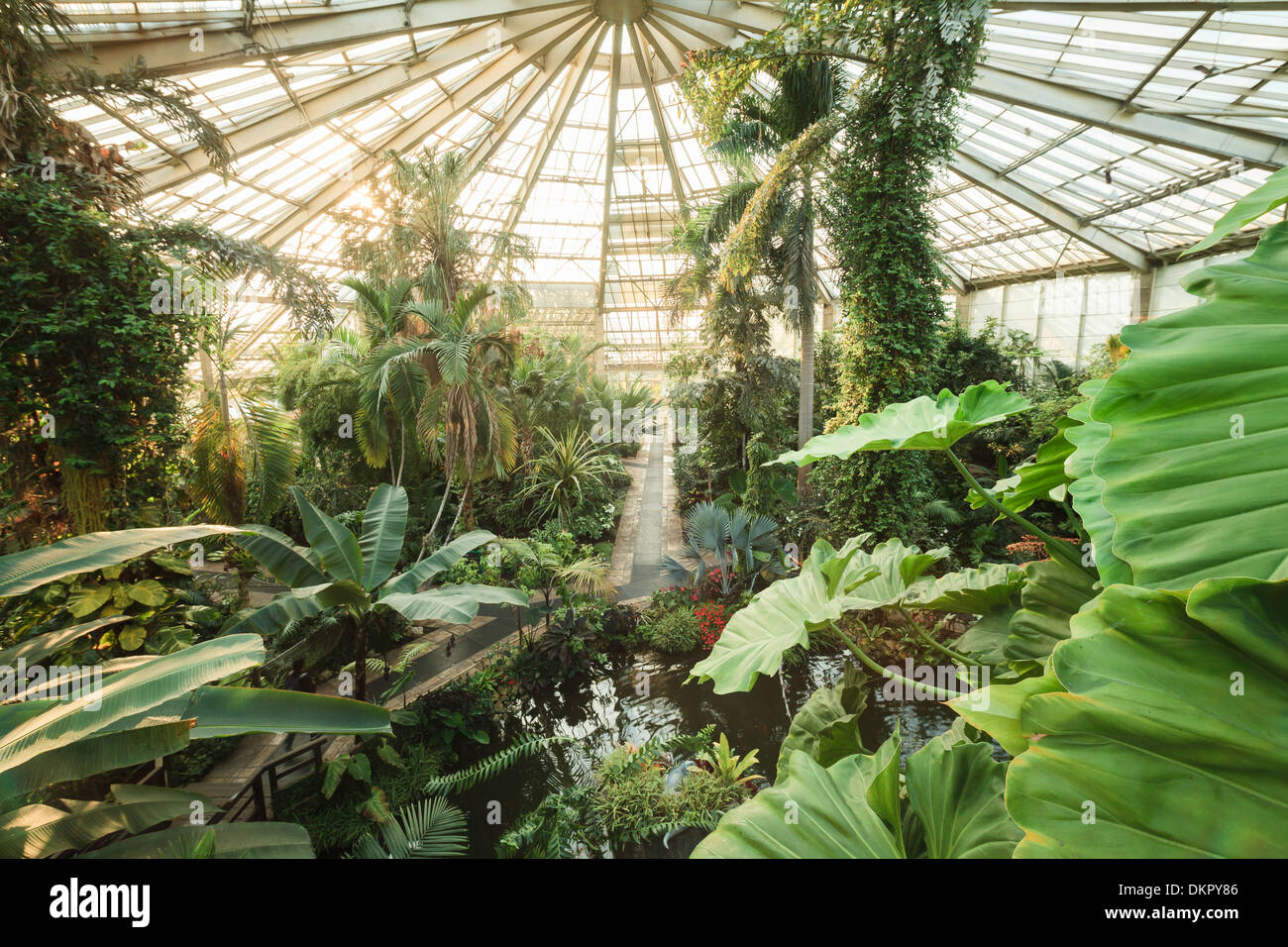 France, Alpes Maritimes, Nice, Phoenix Park, the greenhouse also called the Green Diamond 7.000m2 and 25 meters high Stock Photo