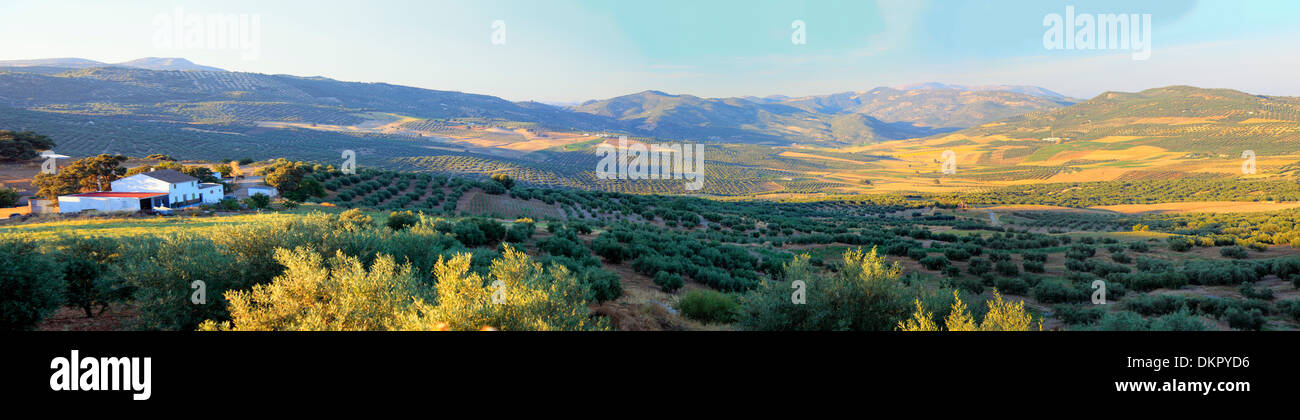 Fields, Andalusia, Spain Stock Photo