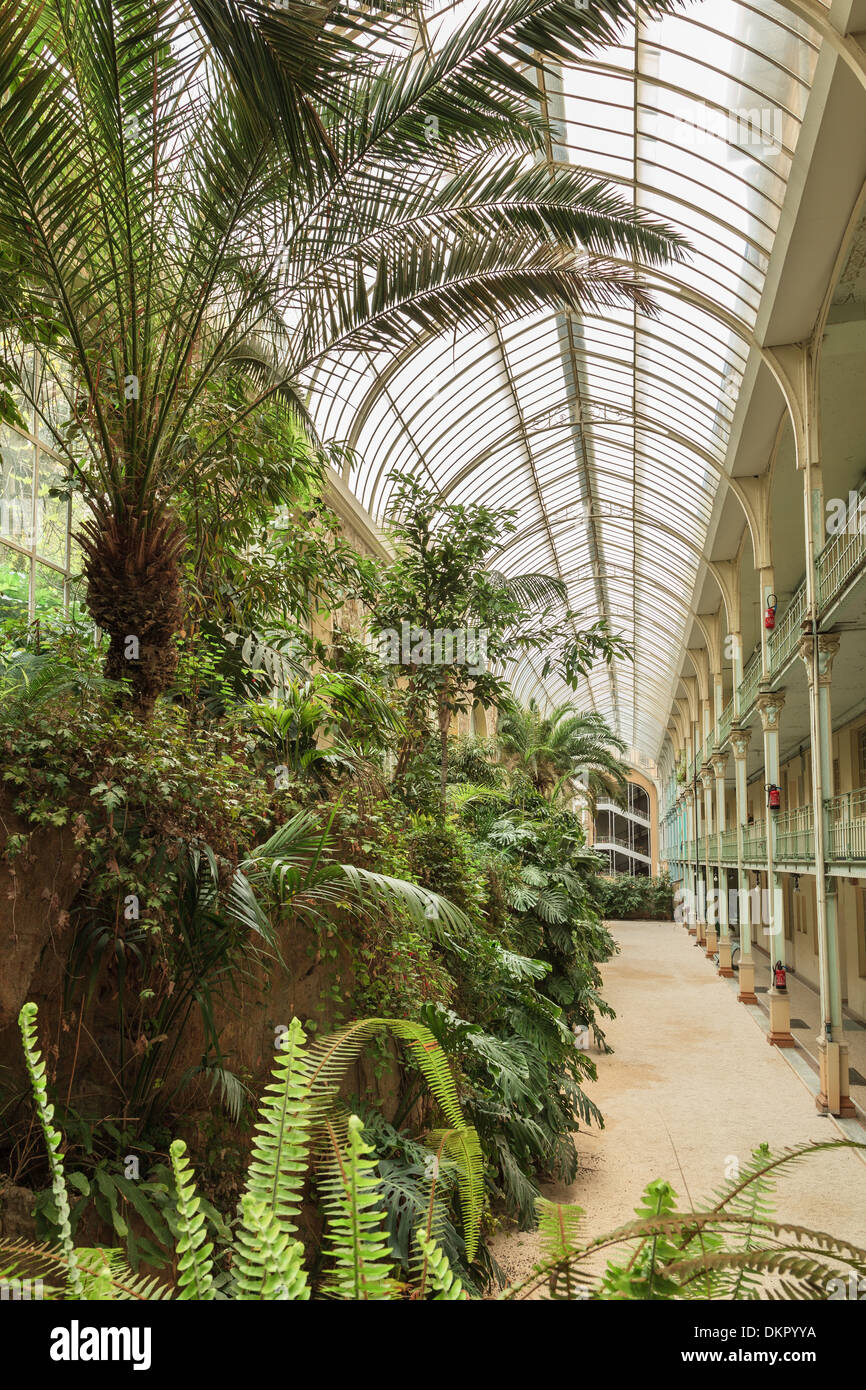 France, Beausoleil, Riviera Palace, the winter garden attributed to Gustave Eiffel (property release ok for books) Stock Photo