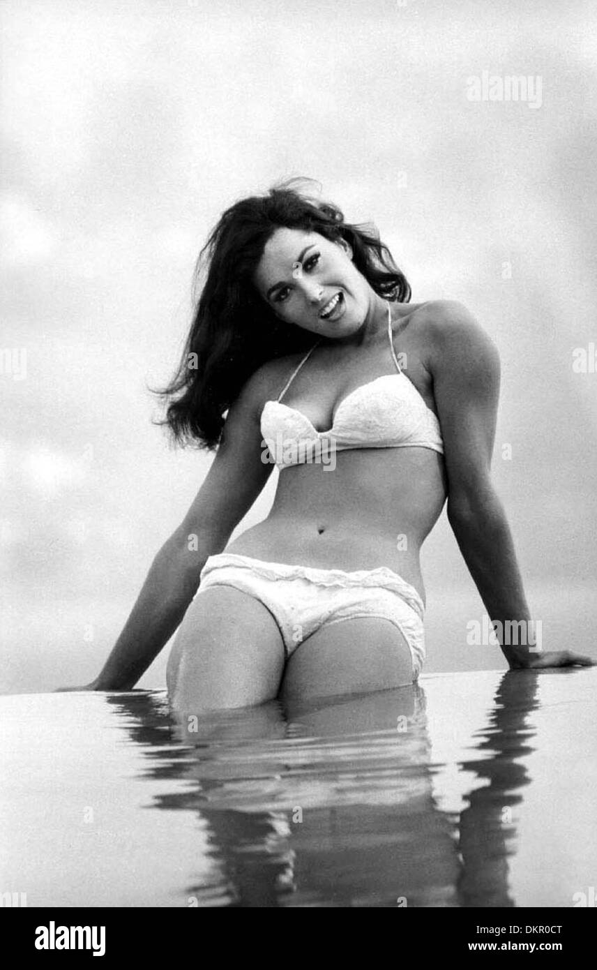 Edy Williams Edy Williams
