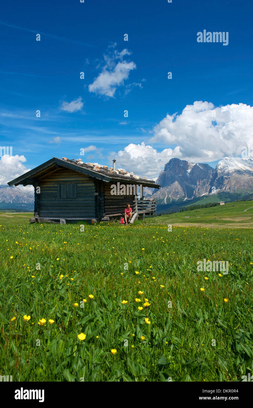 South Tirol Italy Europe Seiser Alm Langkofel Dolomites mountain landscape mountains scenery nature Trentino alpine hut Stock Photo