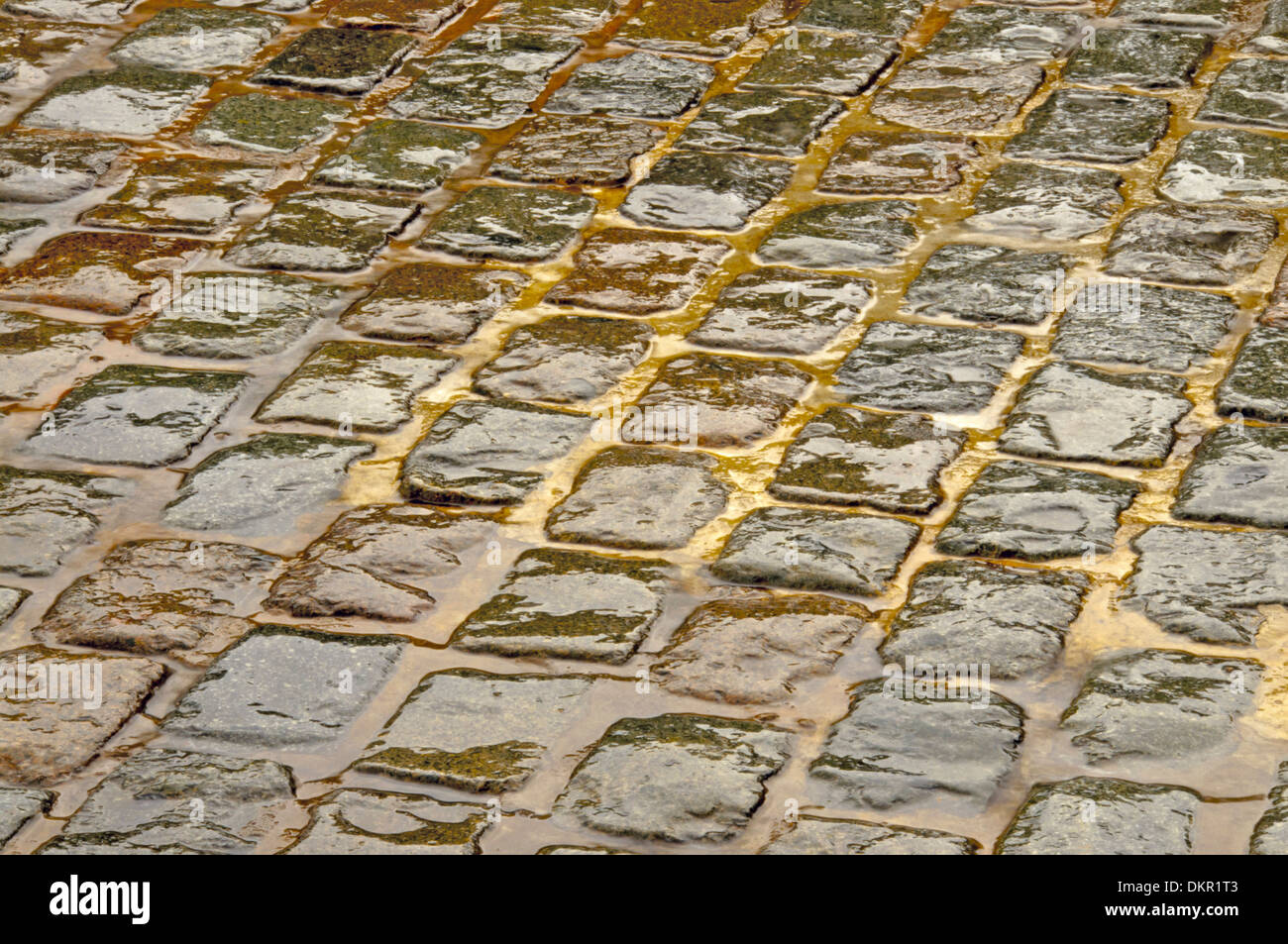 Layer paved background cobblestones wet moisture pavingstones rains
