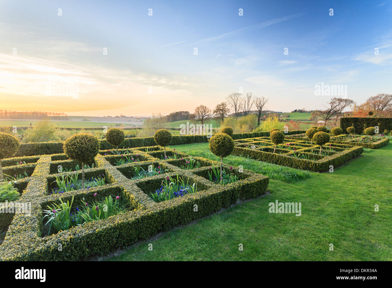 France, Cassel , Ferme du Mont des Recollets garden, squares of boxwood, with hyacinths and tulips (use for press and book only) Stock Photo