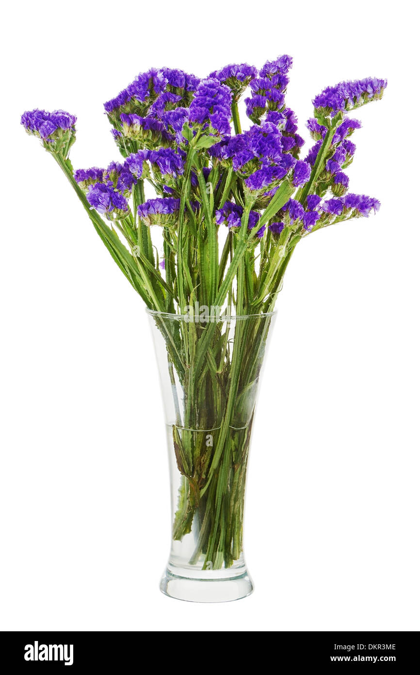 Bouquet from statice flowers arrangement centerpiece in vase isolated on white background. Closeup. Stock Photo