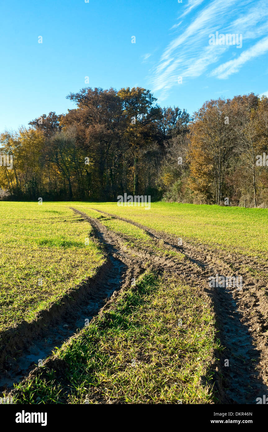 Tractor tyre tracks in farm field France Stock Photo Alamy
