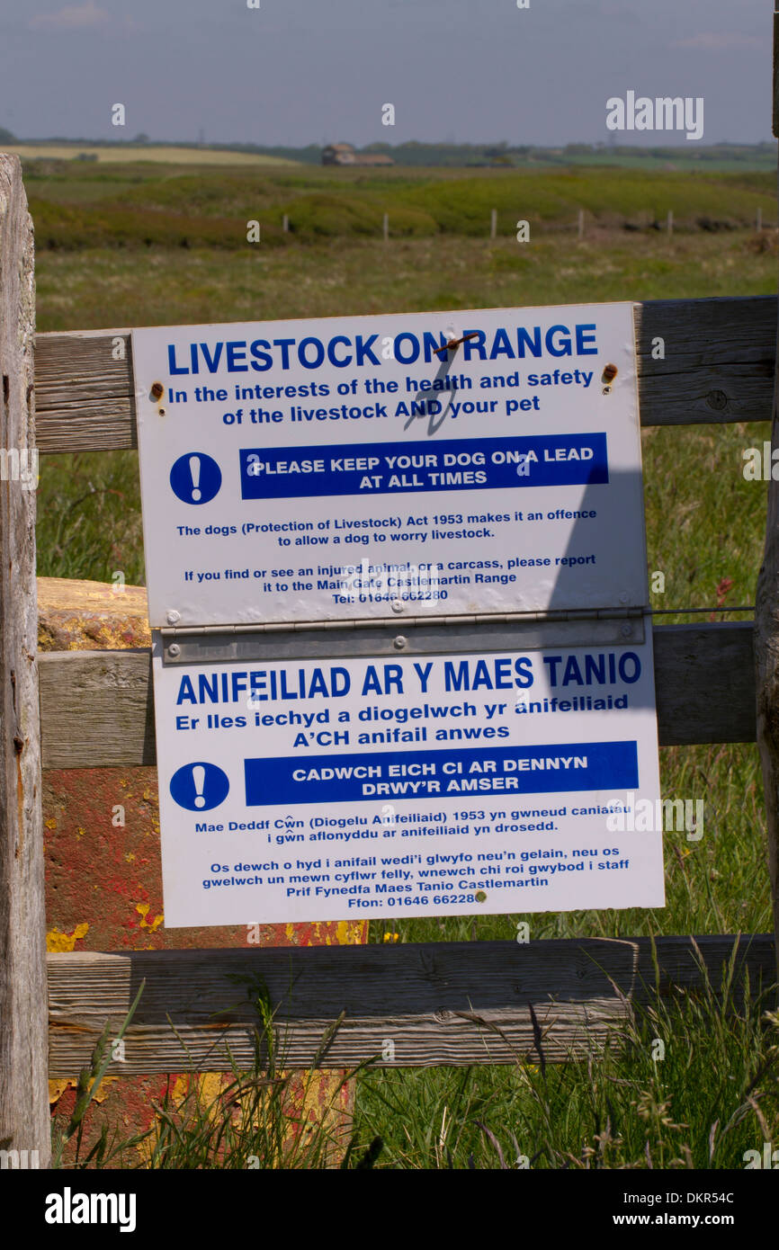 'Livestock on range, dog on lead' signs at military firing range. Castlemartin Range. Pembrokeshire, Wales. June. Stock Photo