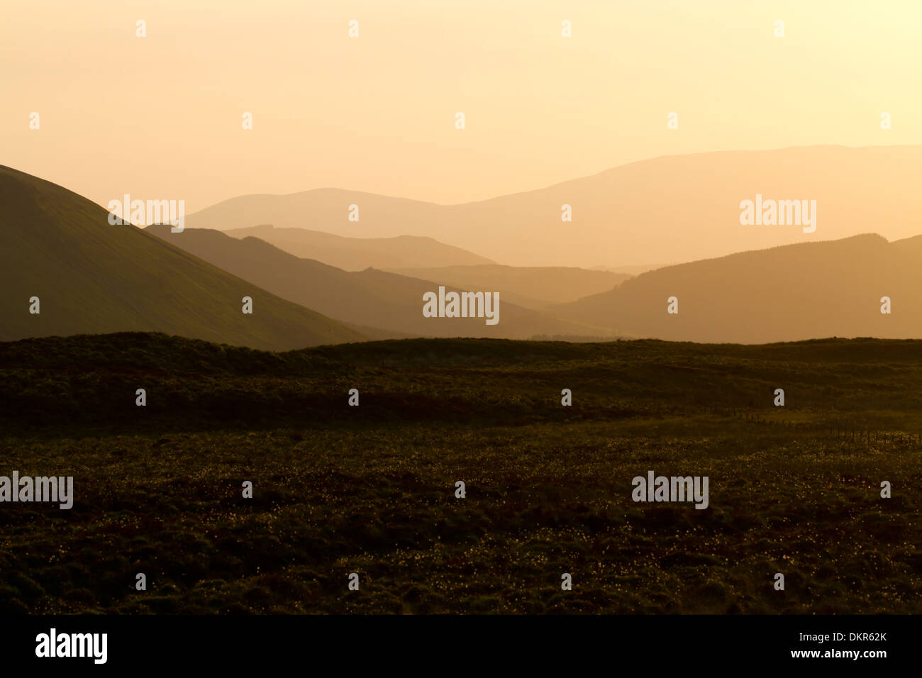 View of hills in the Cambrian Mountains in evening light. From Bugeilyn towards the Dyfi Estuary. Powys, Wales. June. Stock Photo