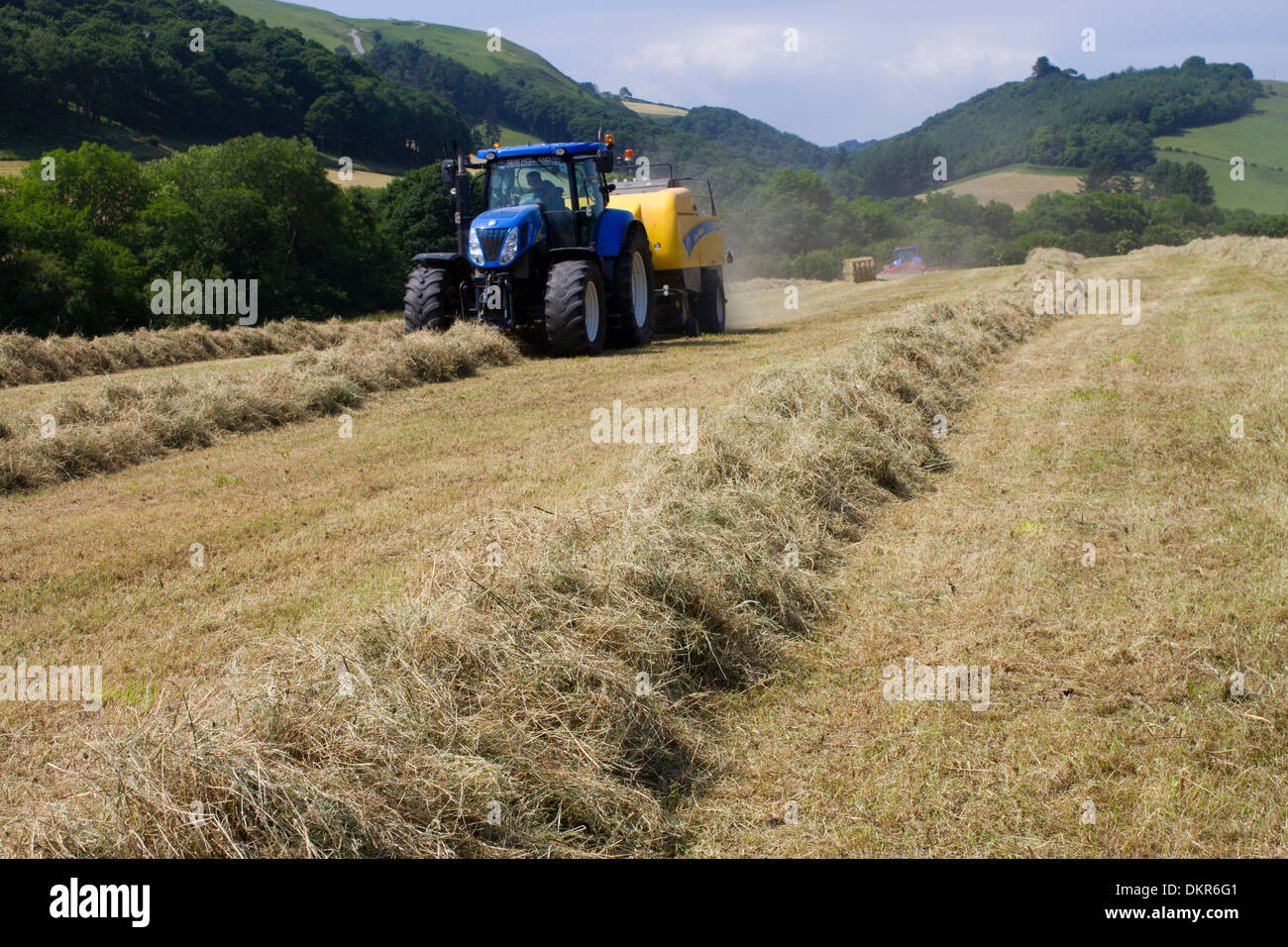Contractor with a New Holland T7040 tractor and a New Holland big-square baler baling hay on an Organic farm. Stock Photo