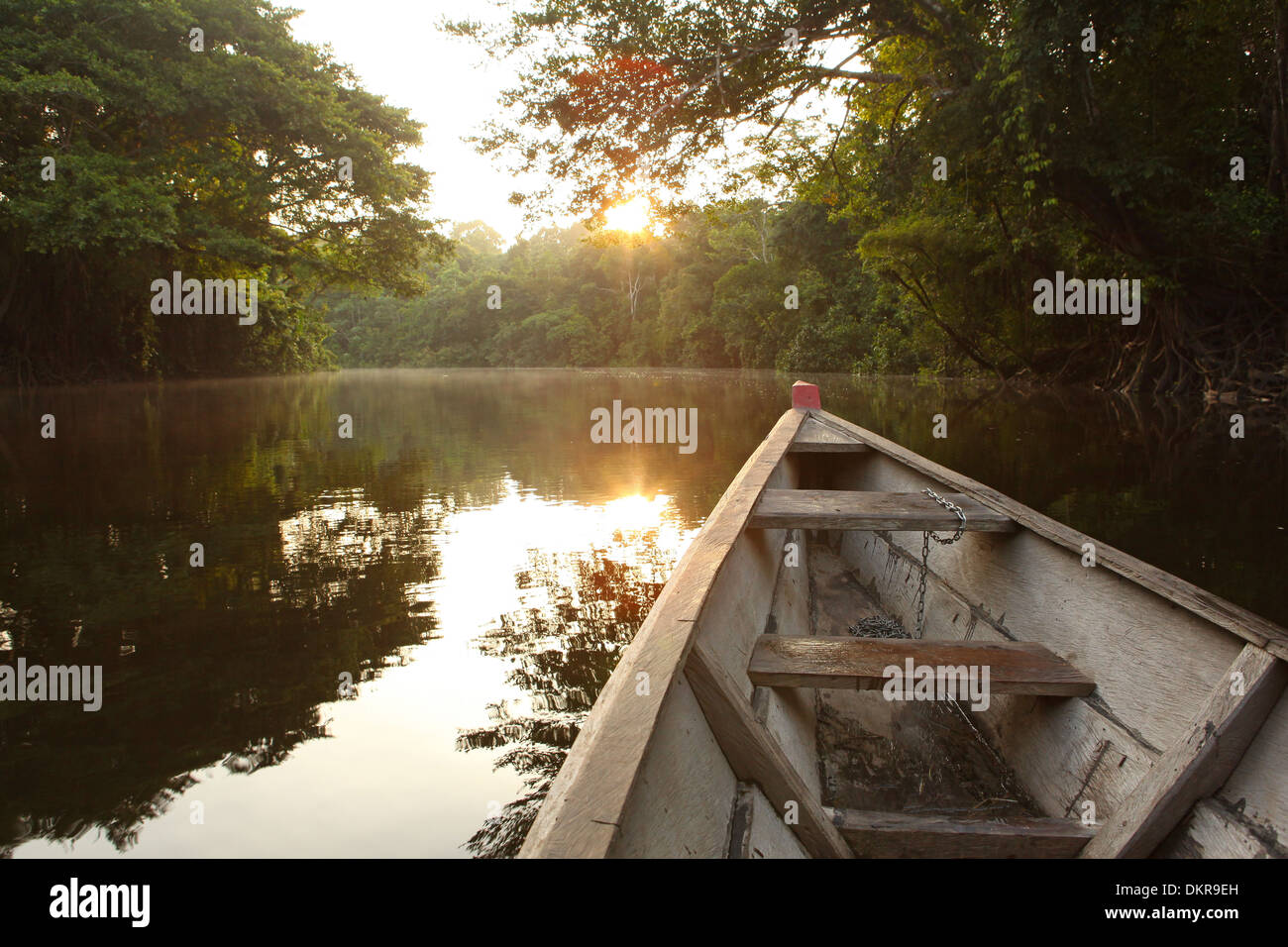 Boat trip canoe sunrise Amazon Colombia South America rain forest