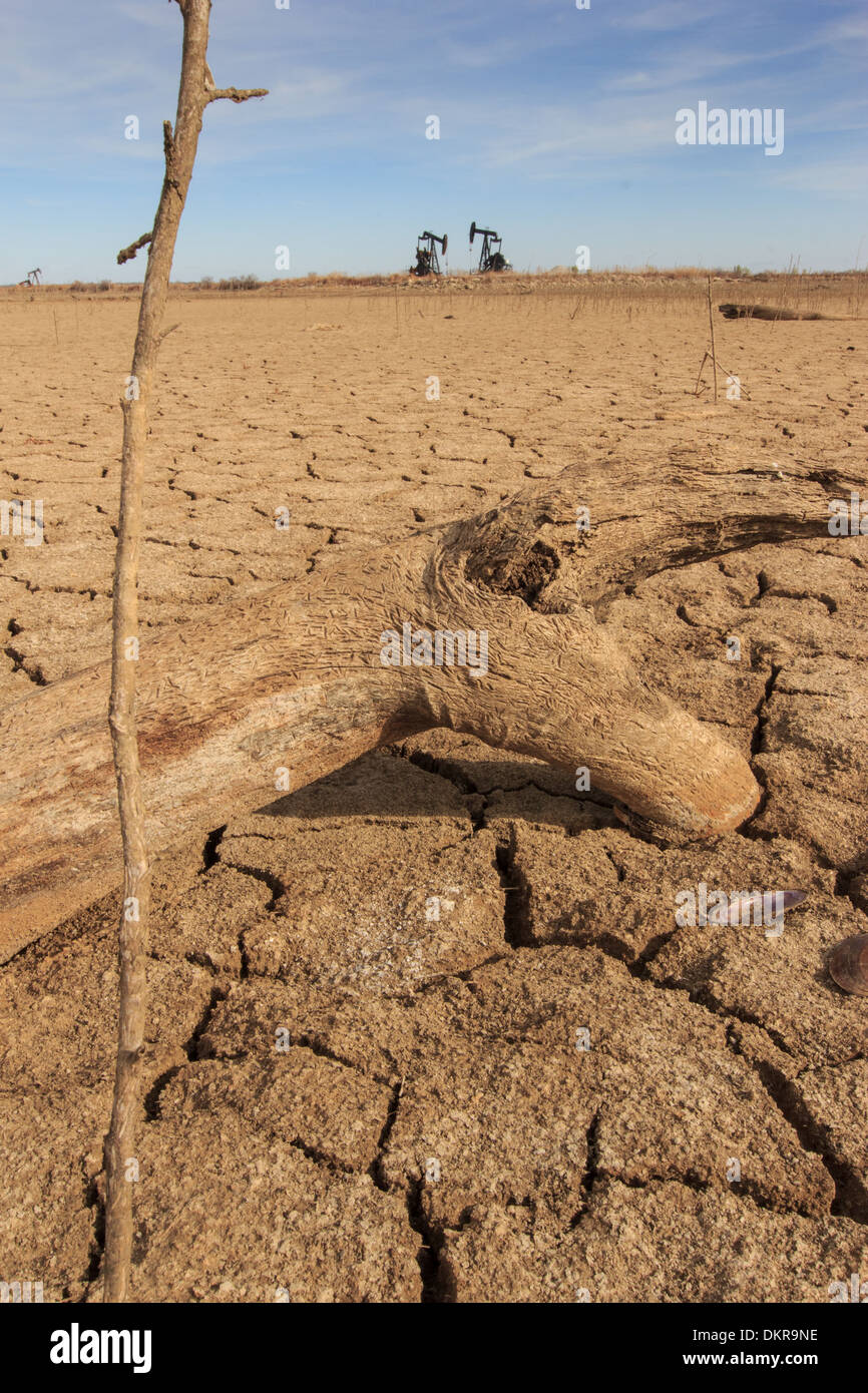Hagerman, Lake Texoma, Texas, USA, drought, dry bed, lake bottom, brown, fissures Stock Photo