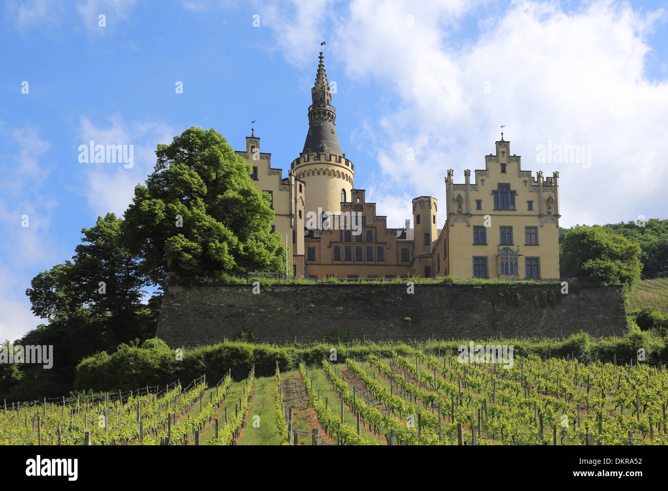 Bad Hönnigen Castle Ahrenfels winegrowing Stock Photo