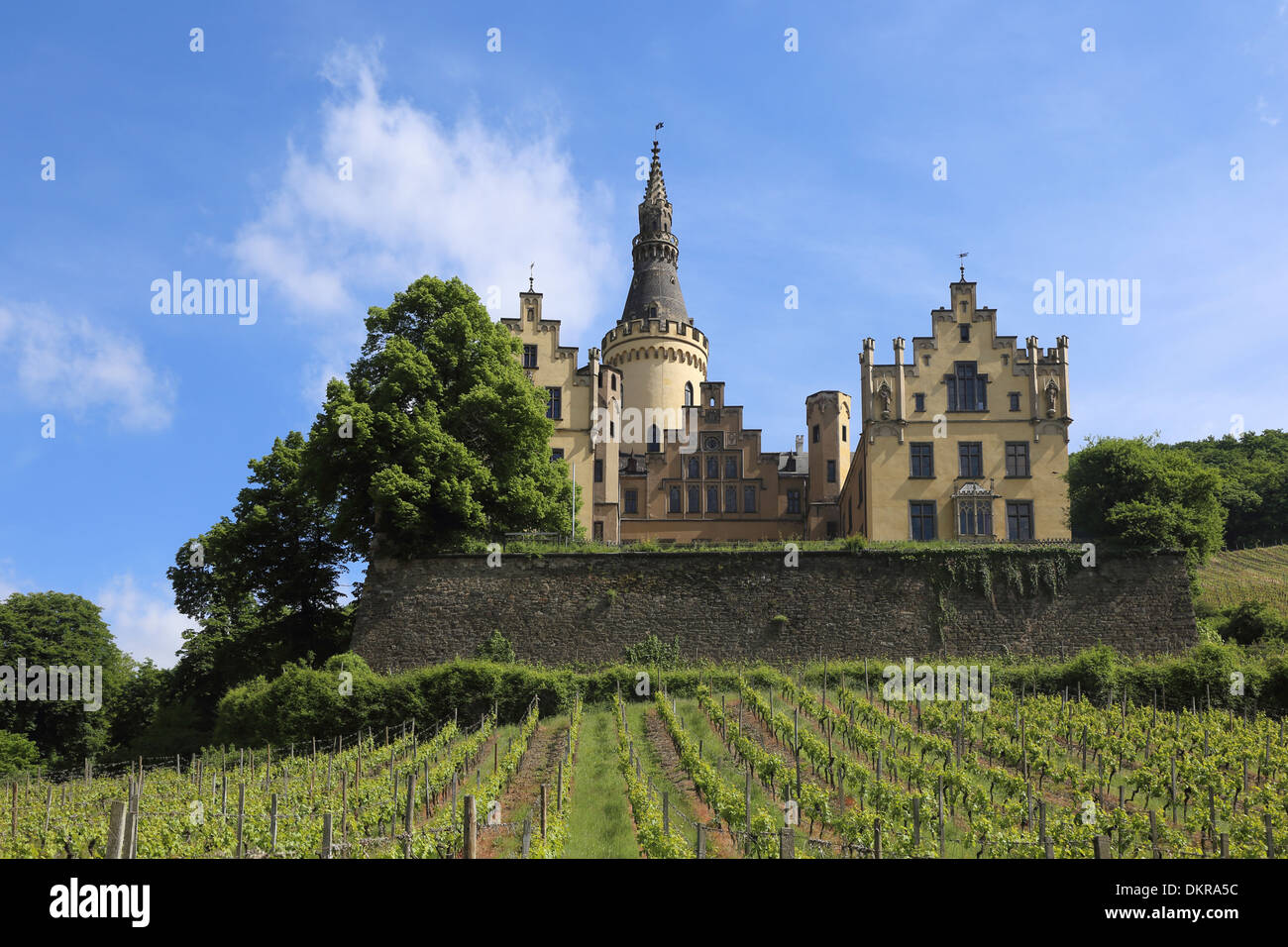 Bad Hönnigen Castle Ahrenfels winegrowing Stock Photo