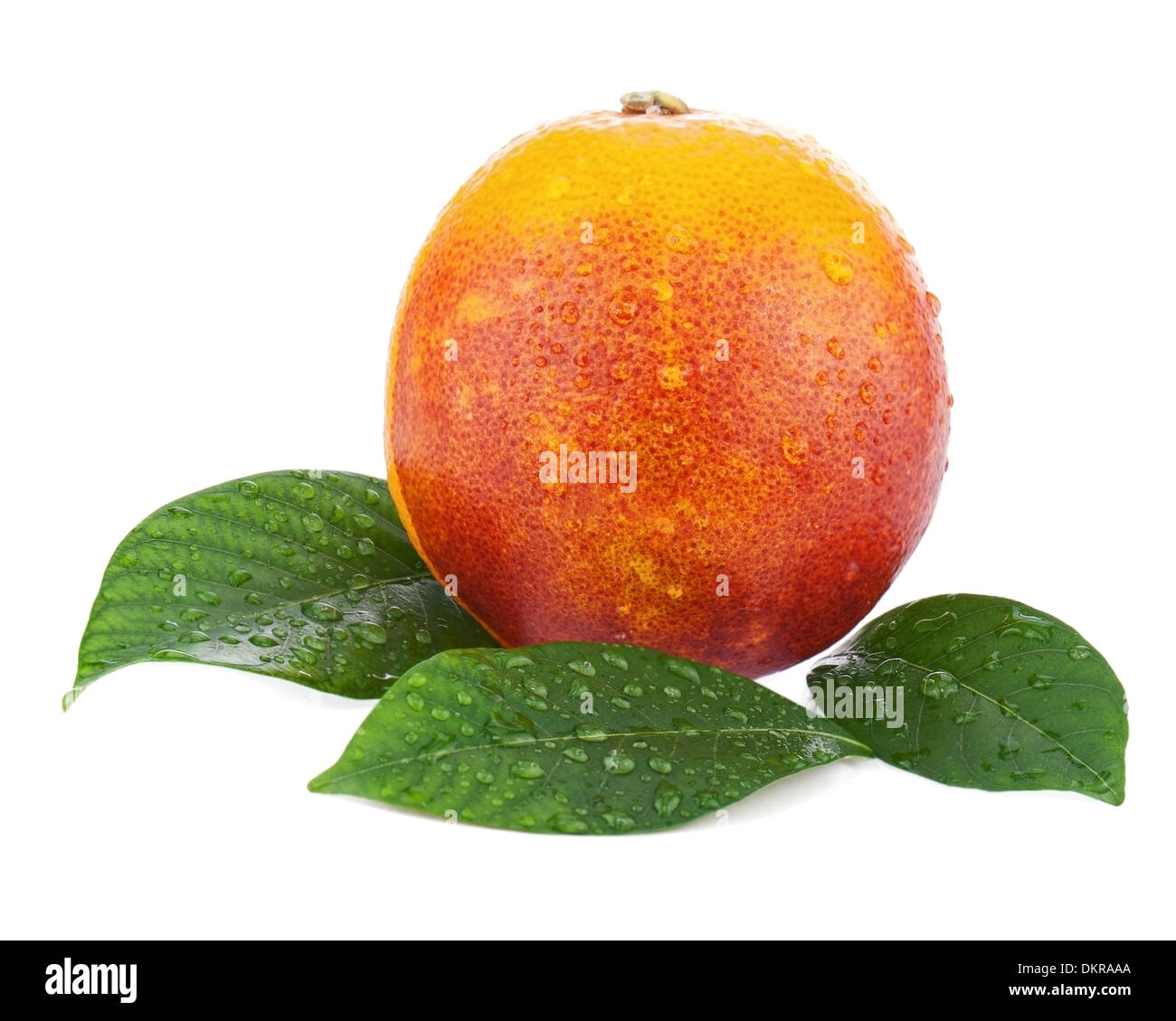 Ripe red blood oranges with green leaves isolated on white background. Closeup. Stock Photo