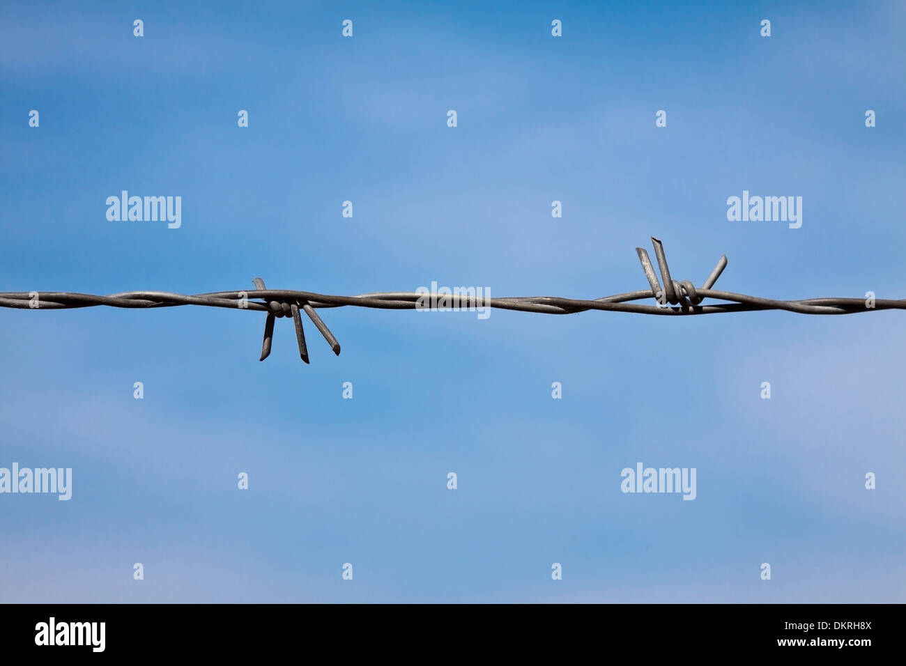 barbed wire and blue sky Stock Photo