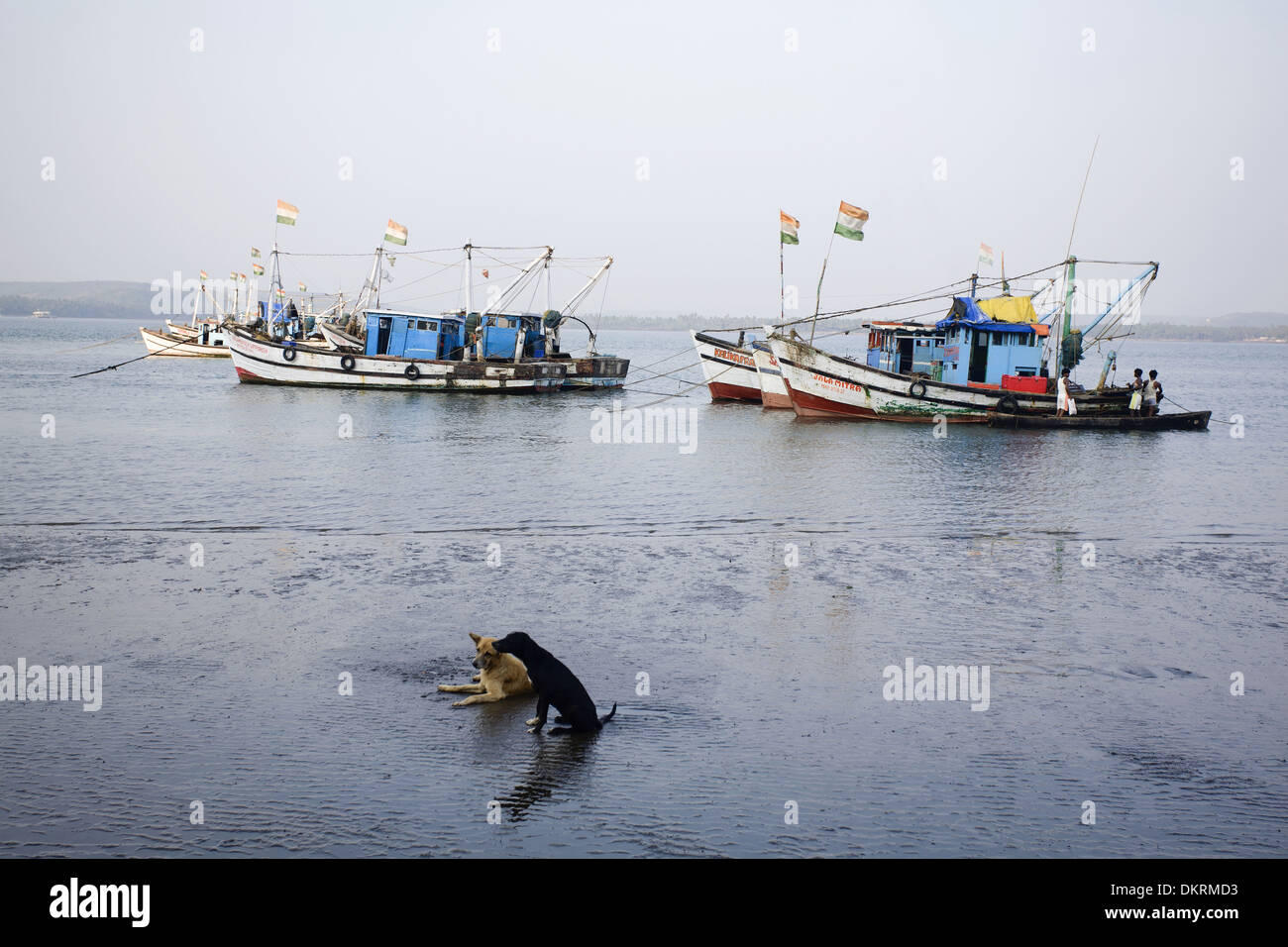 India north goa fishing boat hi-res stock photography and images - Alamy