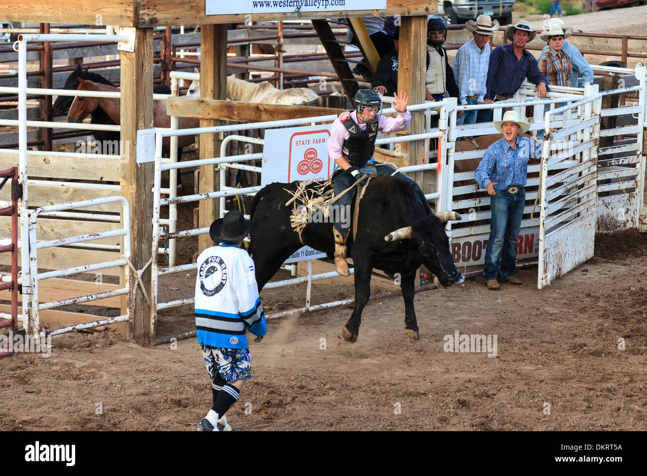 Championship bull riding hi-res stock photography and images - Alamy