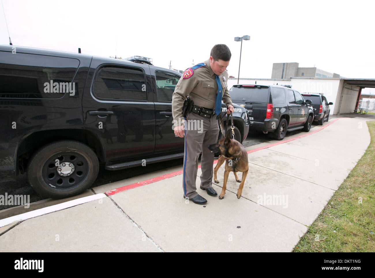 Texas Department of Public Safety officer with dog who recently completed the canine training program Stock Photo