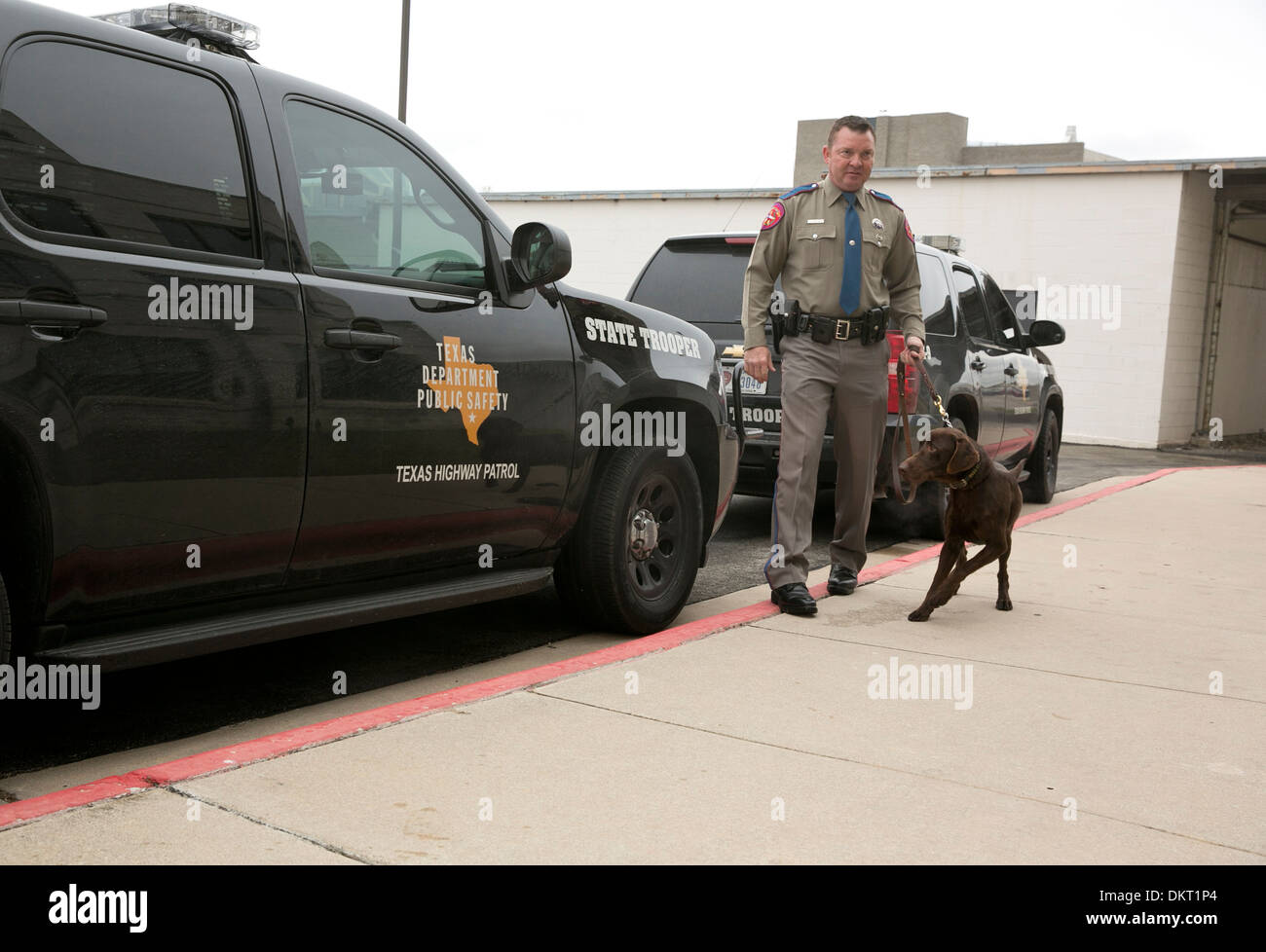 Texas Department of Public Safety officer with dog who recently completed the canine training program Stock Photo