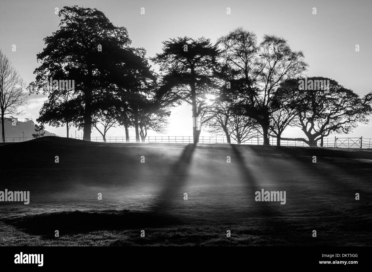 Early morning mist over Torre Abbey,Torquay,devon,water, outdoor, sunlight, sunbeam, coast, warm, nobody, seaside, golf course Stock Photo