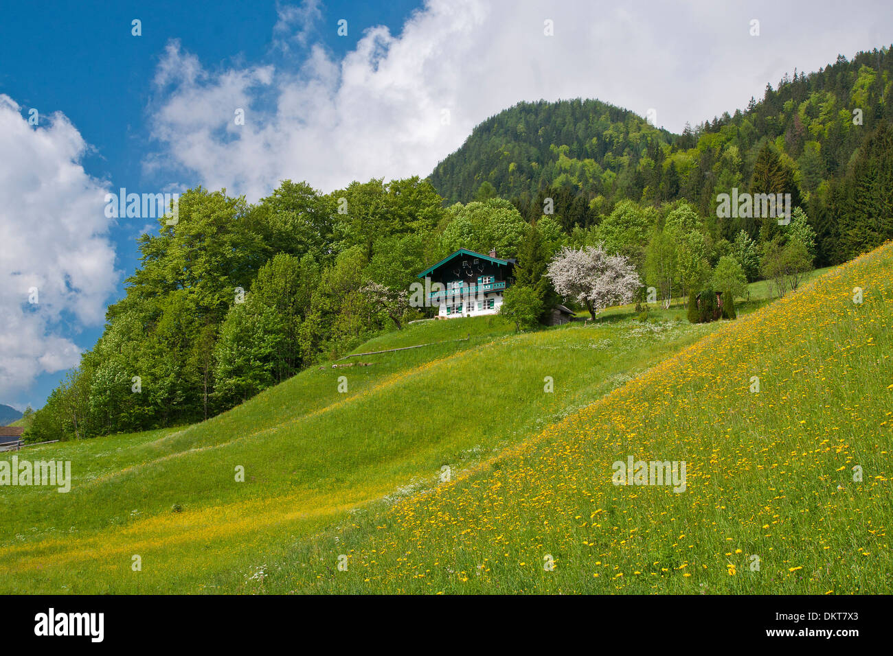 Bavaria Germany Europe Upper Bavaria Berchtesgaden country ...