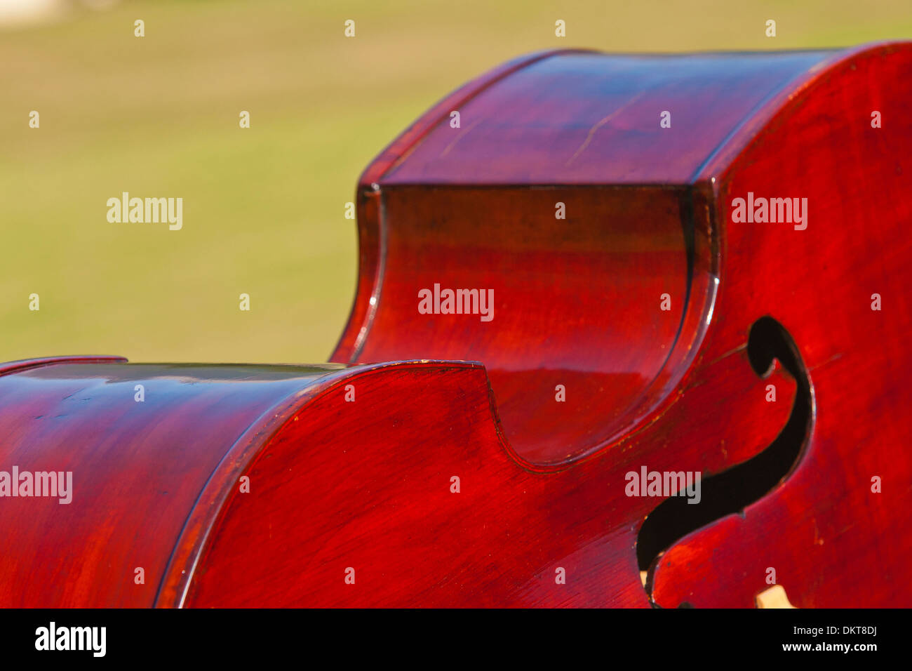 Music, instrument, music instrument, classical, classical music, bass