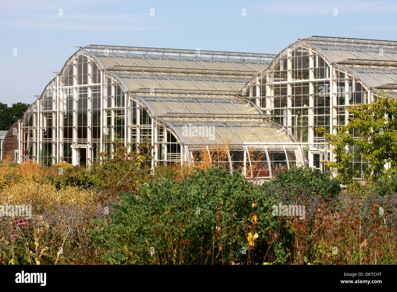 The Glasshouse, Royal Horticultural Gardens Wisley, Woking, Surrey. Stock Photo