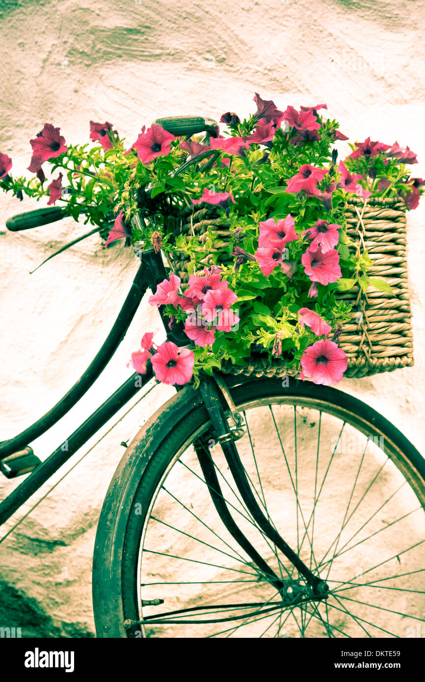 Rusty bicycle with flowers. Wicklow Mountains National Park. County Wicklow. Ireland, Europe. Stock Photo