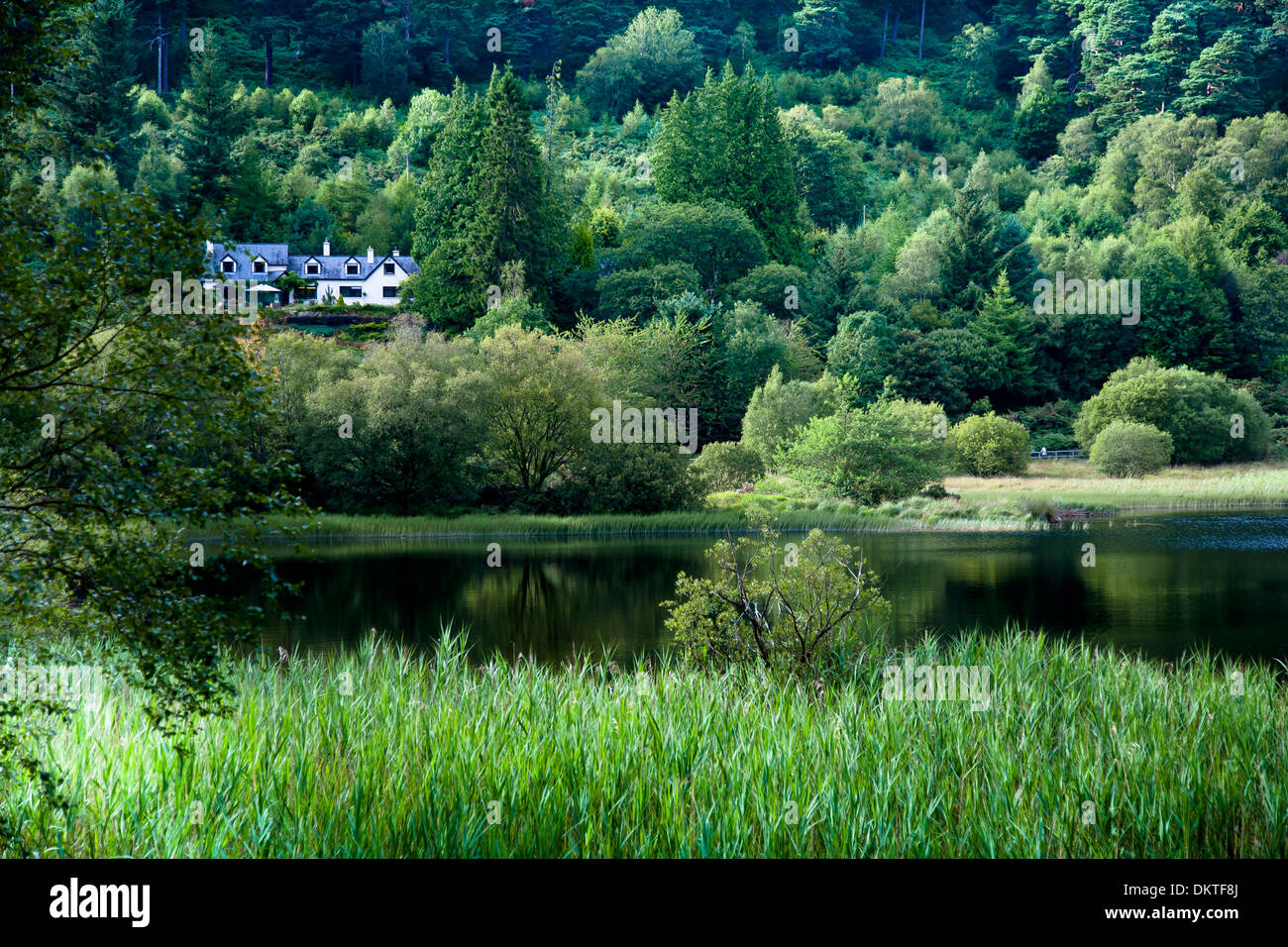 Upper Lake. Wicklow Mountains National Park. County Wicklow. Ireland, Europe. Stock Photo