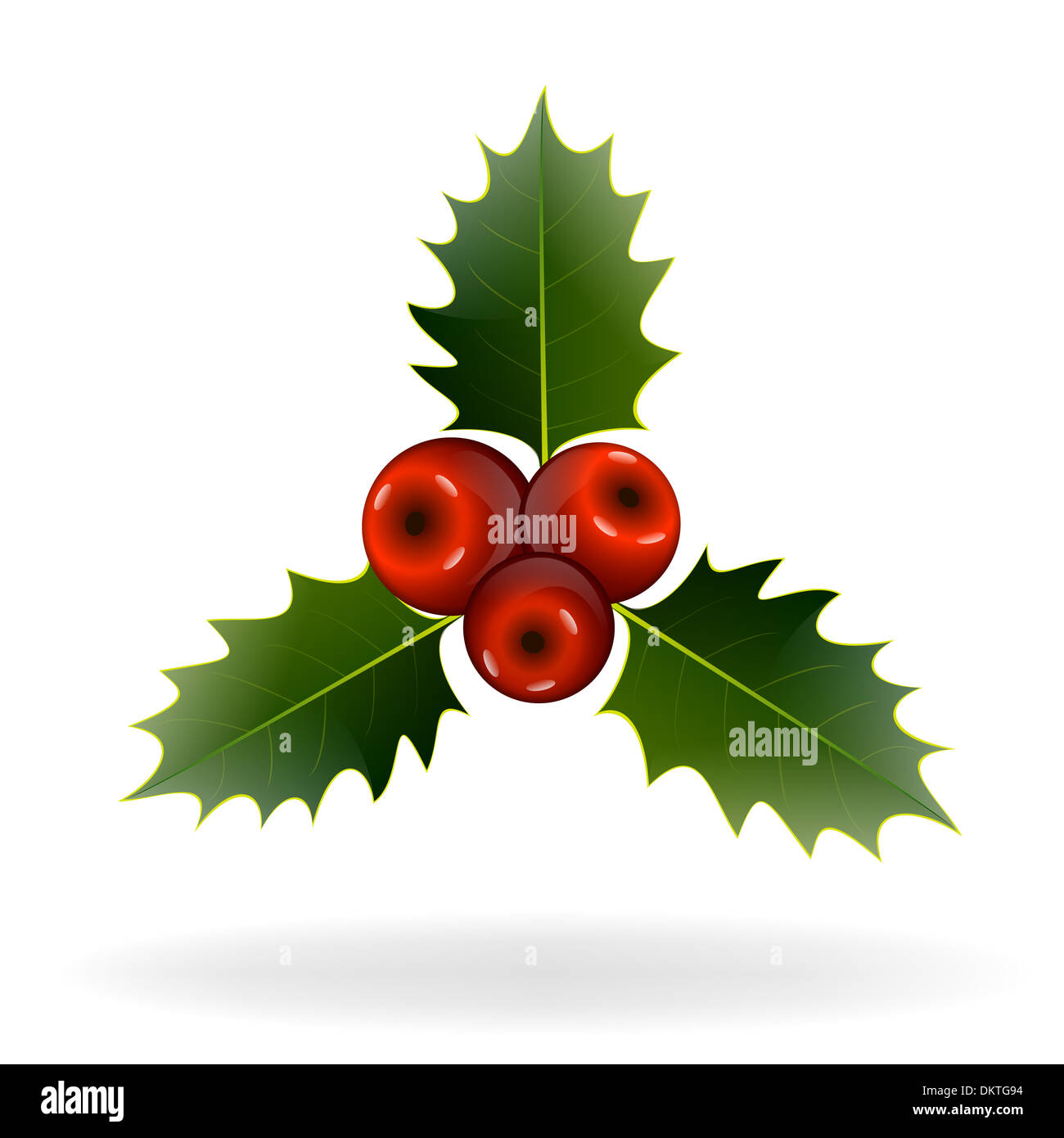 Holly berries on white background. Christmas decorations. Vector eps10 ...
