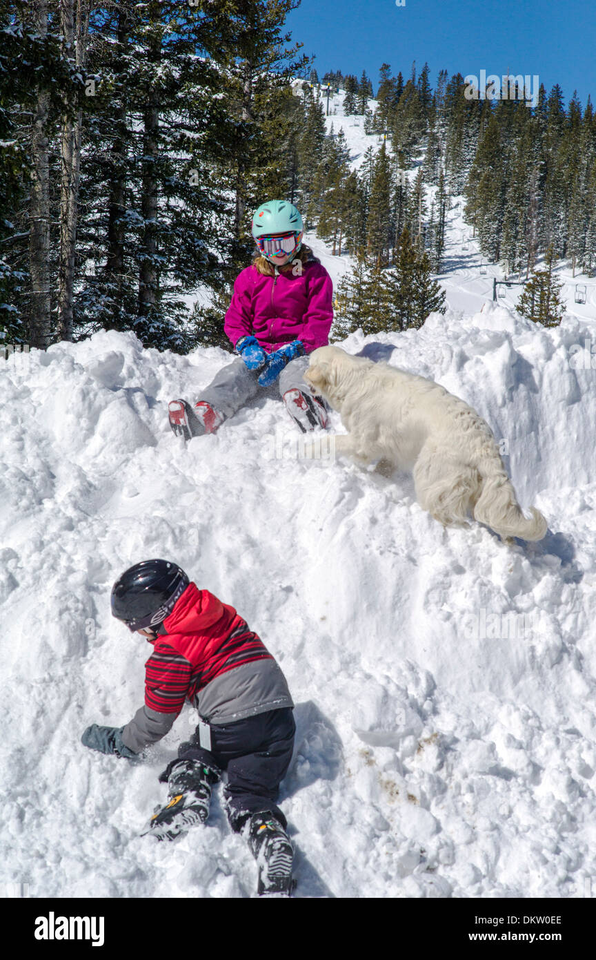 Platinum colored Golden Retriever puppy (11 months) playing with young children in fresh snow. Stock Photo