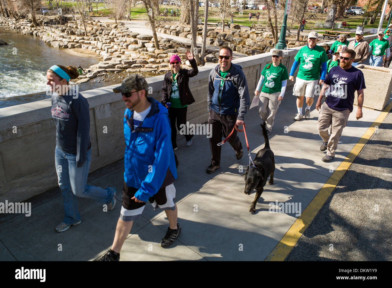 Participants walk cross the Arkansas River, F Street Bridge, during the Tenderfoot Cancer Climb fundraiser, Salida, Colorado USA Stock Photo