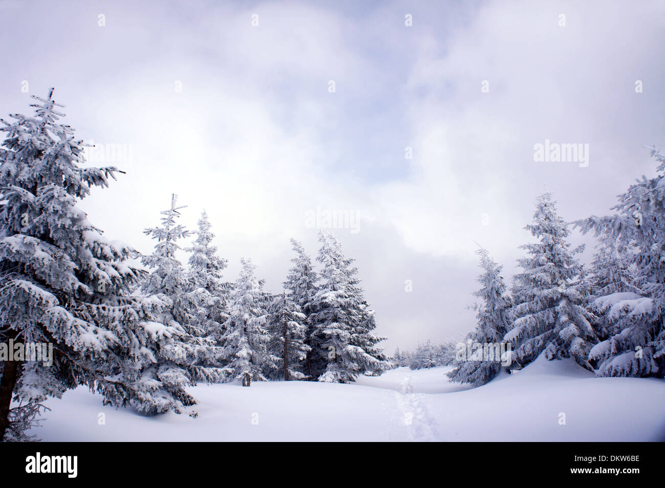 Buried under snow hi-res stock photography and images - Alamy