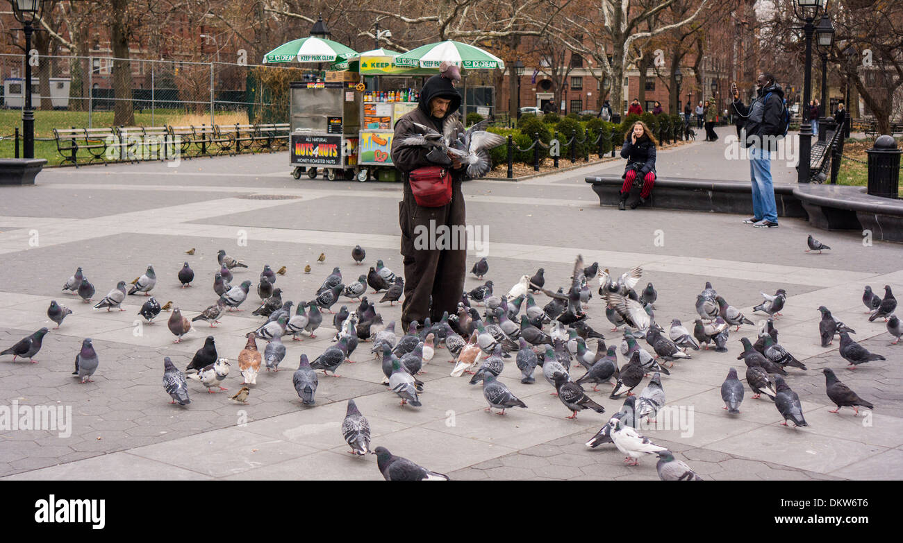 A pigeon lover is festooned with the birds as he feeds them in Washington Square Park in New York Stock Photo