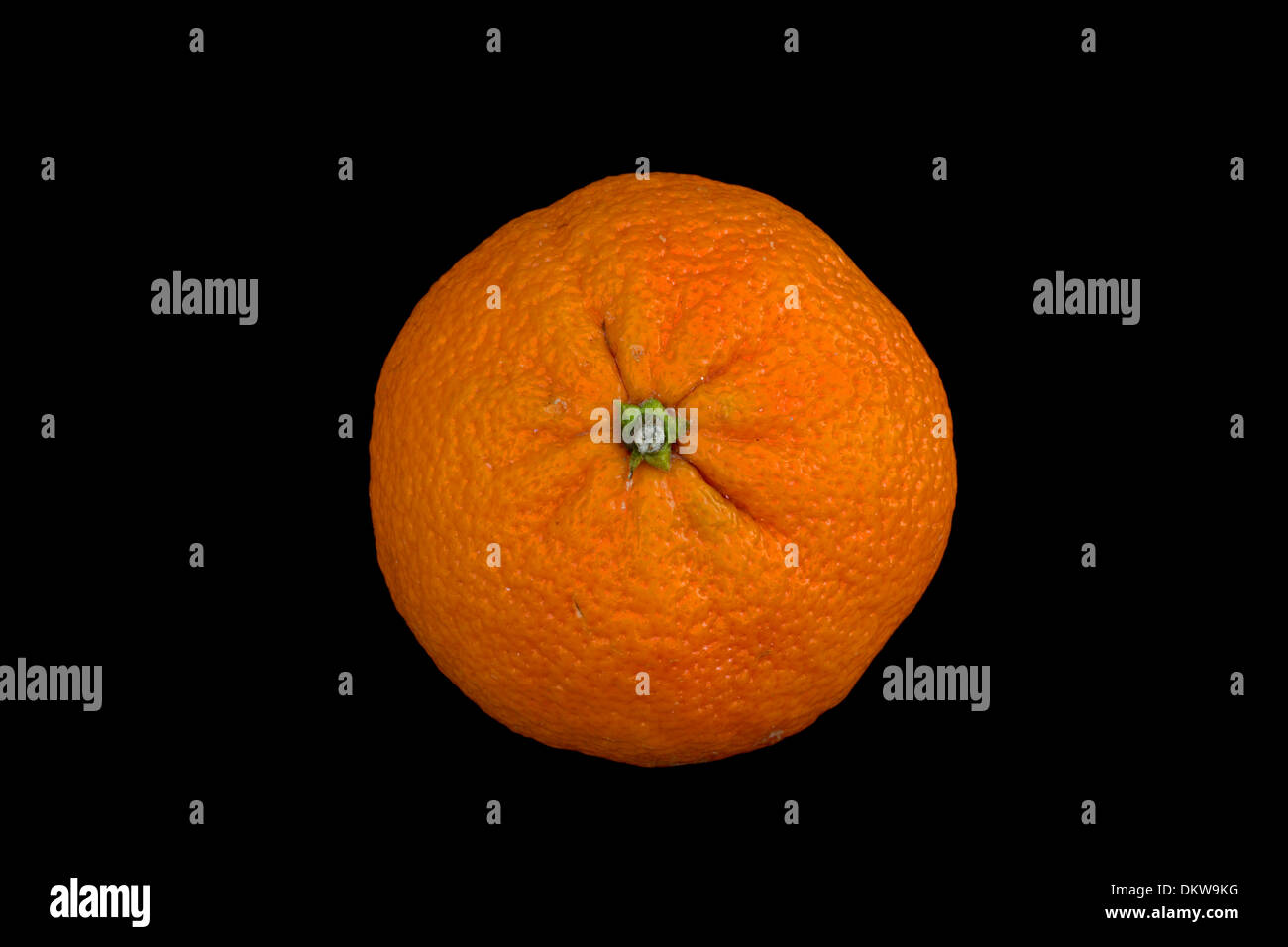 Clementine, variety of mandarin Stock Photo