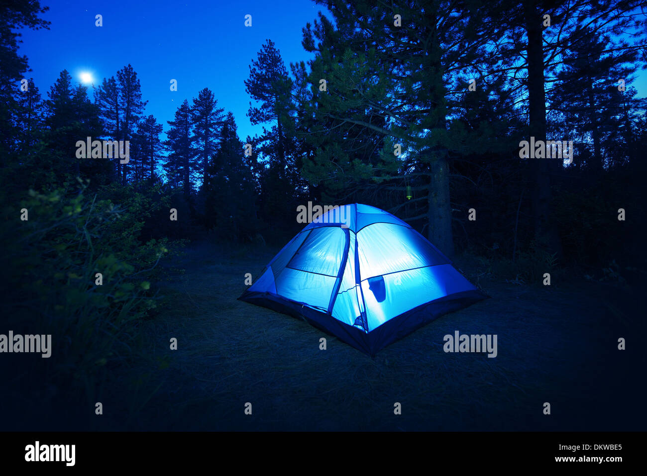 Forest Camping - Small Illuminated Tent at Night. Camping in California Forest, USA. Camping and Outdoor Photo Collection. Stock Photo