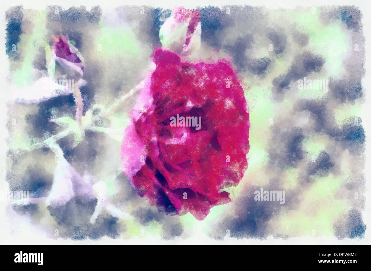 Illustrations,flowers, bouquet, Aquarelle, roses, red roses, Aquarell