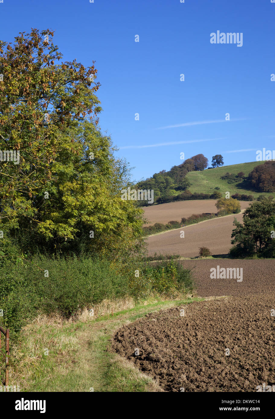 Farmland at Meon Hill near the Cotswold village of Mickleton, Gloucestershire, England. Stock Photo