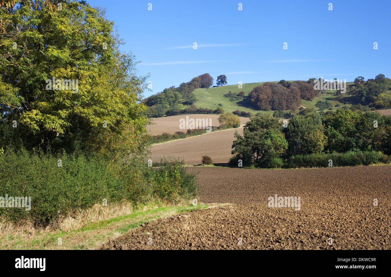 Farmland at Meon Hill near the Cotswold village of Mickleton, Gloucestershire, England. Stock Photo