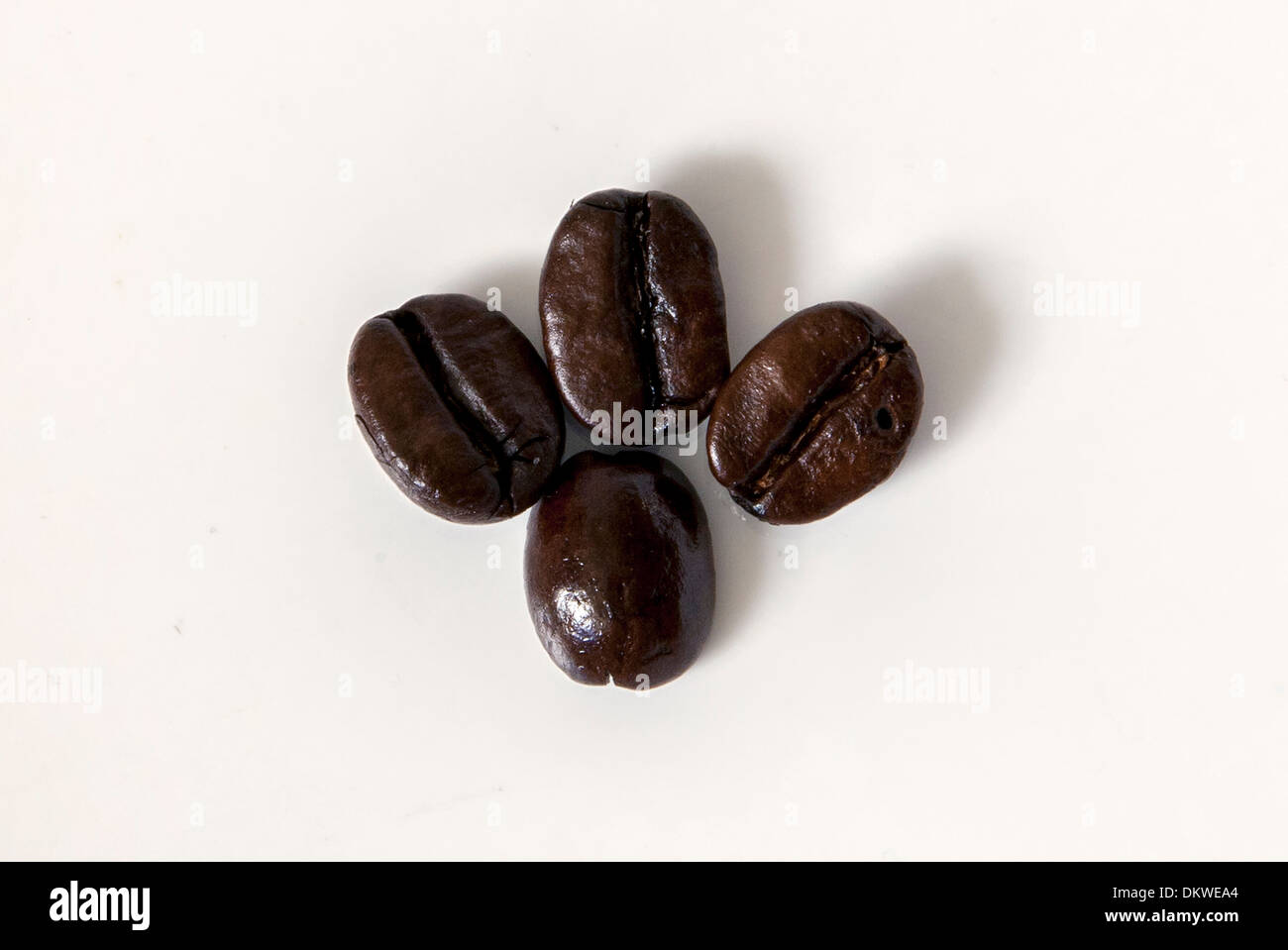Substantial Coffee Beans photo