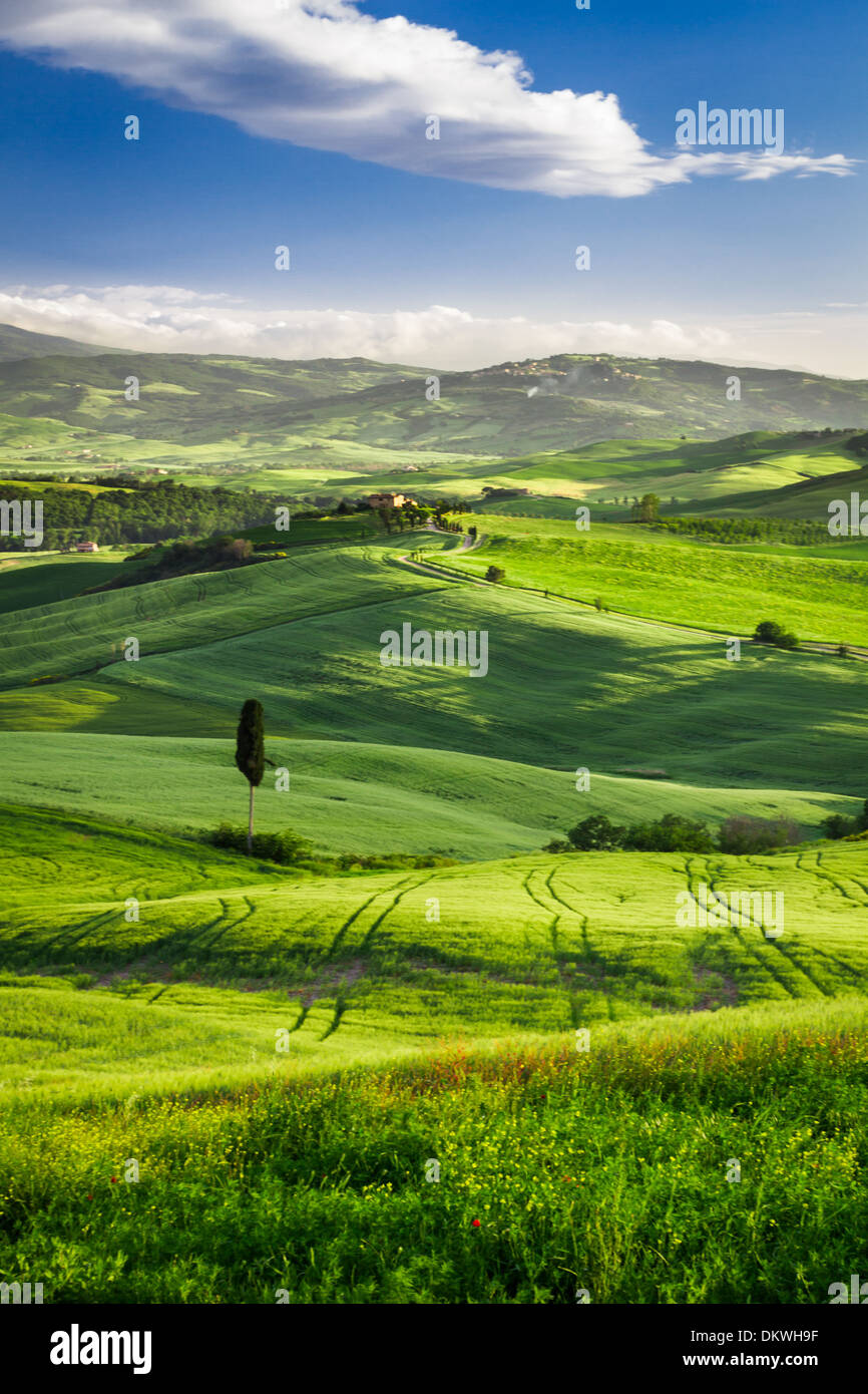 Beautiful view of the sunset over the green valley Stock Photo - Alamy