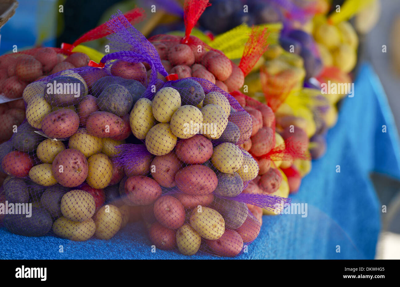 Colorful Potatoes in a Bags. Organic Food Farmers Market. Food Photo Collection. Stock Photo